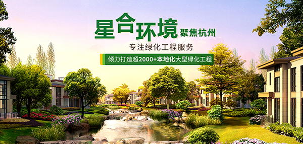杭州星合环境工程有限公司营销型网站建设进行中