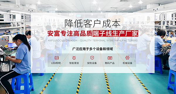 广东省安富电器有限公司营销型网站建设进行中