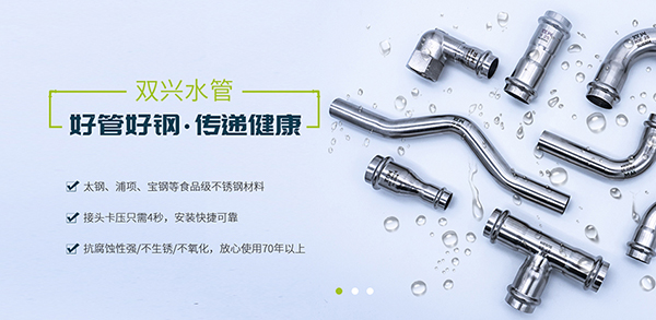 广东双兴新材料集团有限公司-营销型网站案例展示