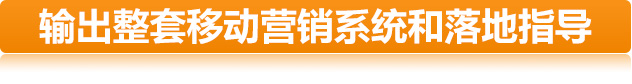 输出整套移动营销系统和落地指导