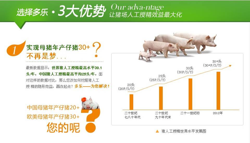 营销型网站