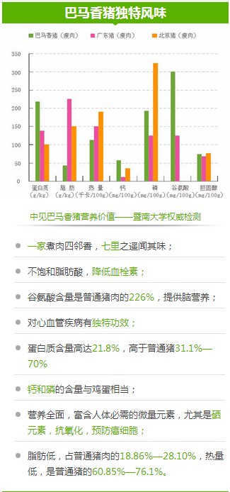 巴马香猪
