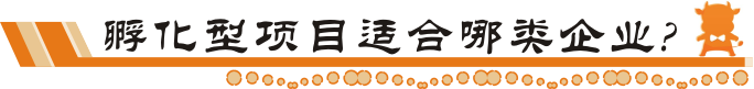 孵化型项目适合哪些企业