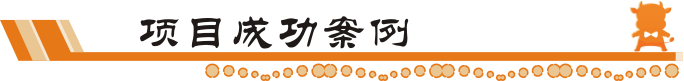孵化型项目成功案例