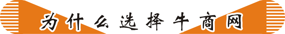 网络营销方案