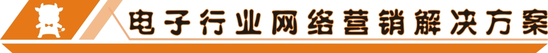电子行业网络营销解决方案