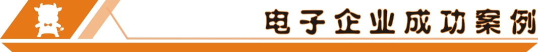 电子企业成功案例