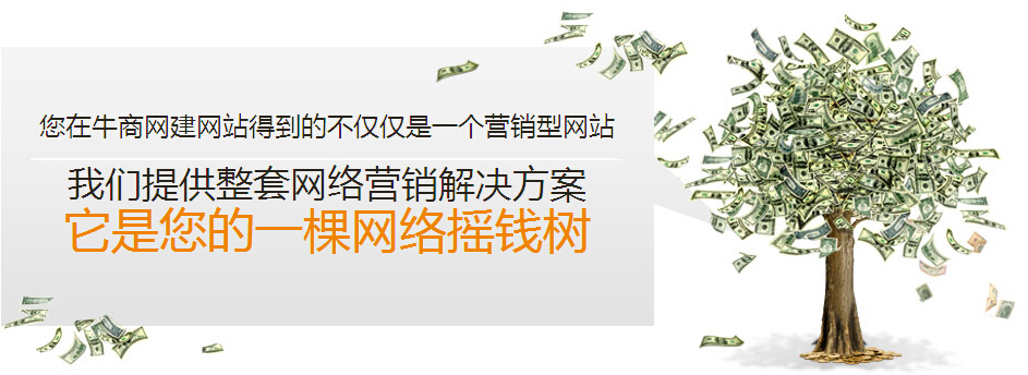 企业网站招商加盟网络营销