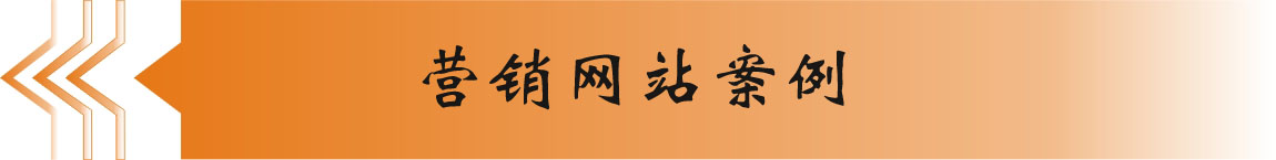 营销型网站案例