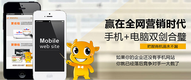 赢在全网营销时代