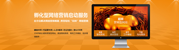 孵化型网络营销启动服务