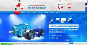 真身李逵：PC营销型网站首屏