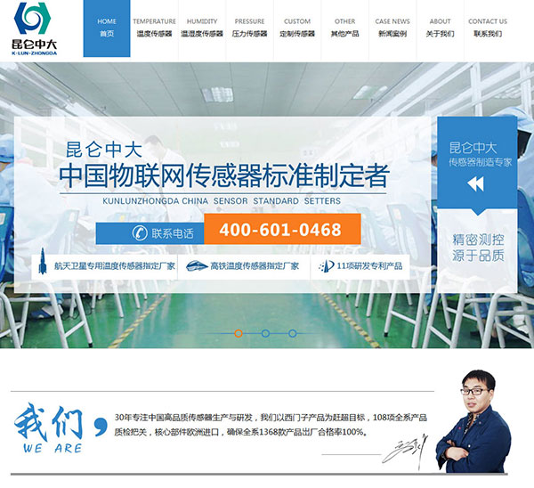 昆仑中大营销型网站建设截图