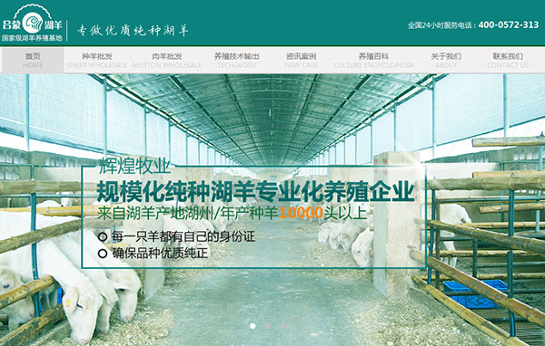 辉煌牧业营销型网站首屏截图