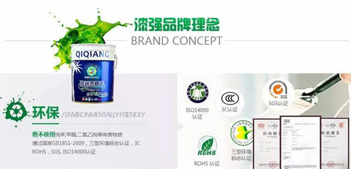 漆强营销型网站部分截图