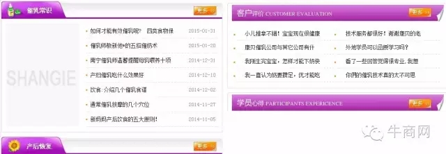 网站案例