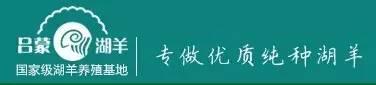 牛商网客户案例