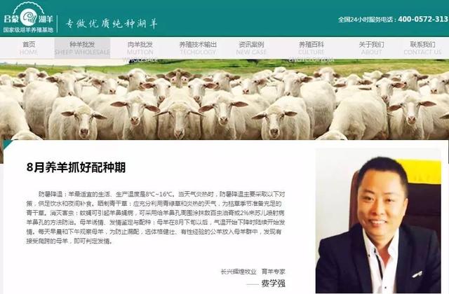 辉煌牧业超级营销型网站&ldquo;种养批发&rdquo;页首屏截图