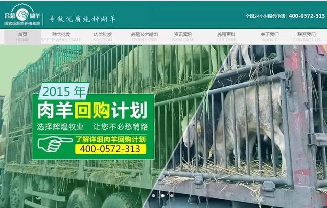 辉煌牧业超级营销型网站首页首屏截图