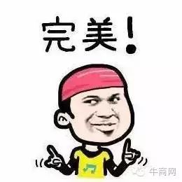 完美的网络营销