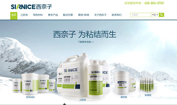 网站SEO信息