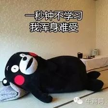 牛商网10月网络营销课程