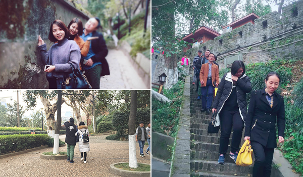 岳麓山团队登山赛 岳麓山团队登山赛