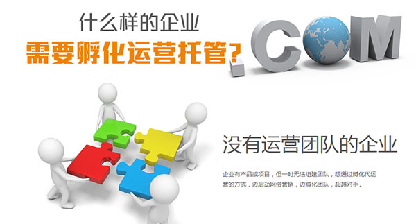 网站托管