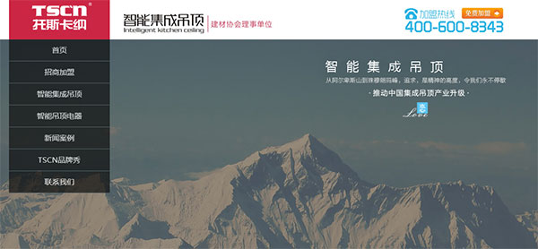 营销型网站案例