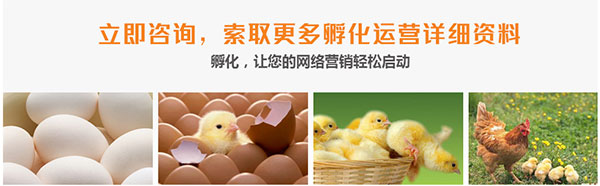 网站运营