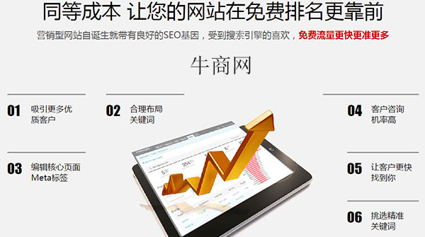 营销型网站受搜索引擎的青睐 营销型网站受搜索引擎的青睐