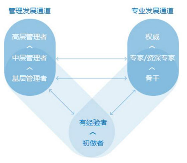 管理发展通道