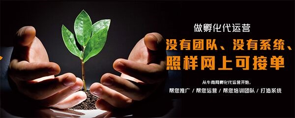 网站代运营