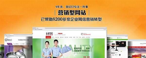 国内网站建设公司