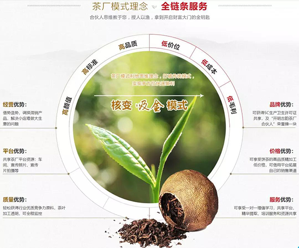 开明古韵优势 开明古韵优势