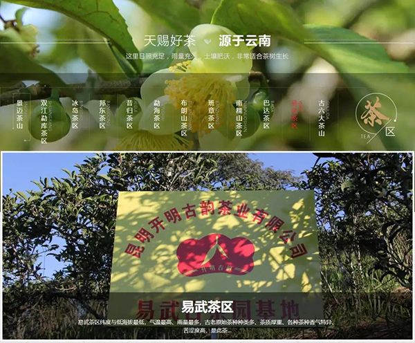 开明古韵产品种类 开明古韵产品种类