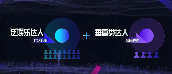 泛娱乐达人和垂直类达人
