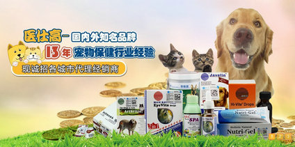 营销型网站：医仕高贸易成功案例分享