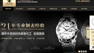 深圳天泽时科技营销型网站案例