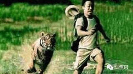 赚钱还是倒闭？互联网转型如何跑赢竞争对手？