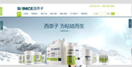 【东莞营销型网站】西奈子孵化项目案例展示