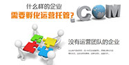 网站托管收费标准 长沙网站托管服务商