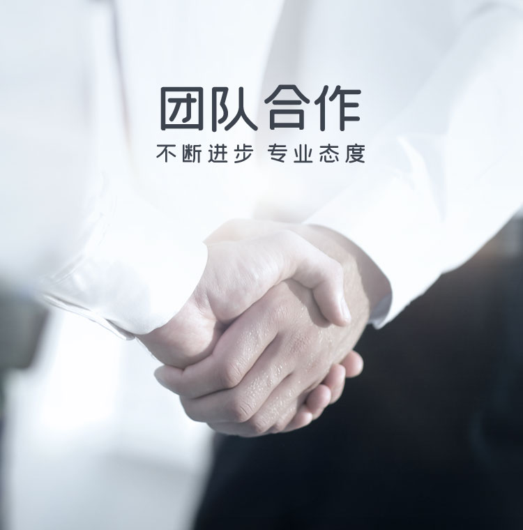 公司团队