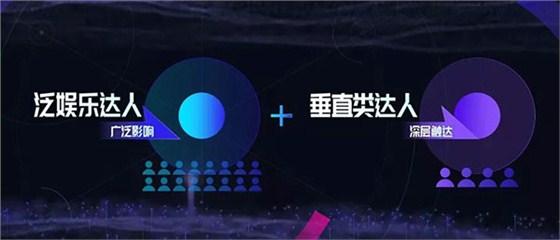 泛娱乐达人和垂直类达人