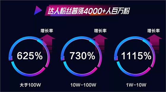 达人粉丝普涨