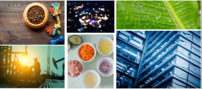 牛商云版权图库重磅上线！单价低至9.9元/张！