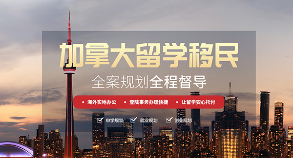 美加杰因私出入境服务（上海）有限公司-营销型网站案例展示