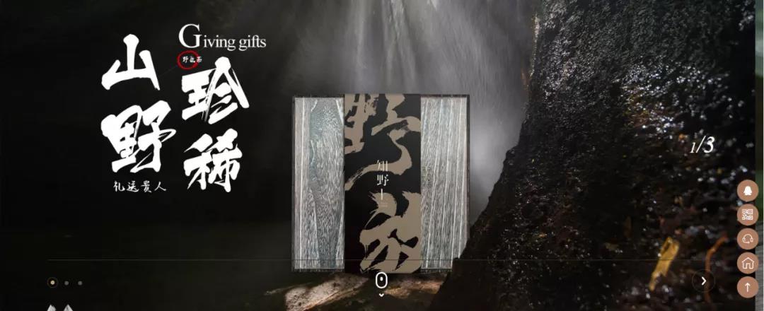 新品牌如何搭建高级感官网站